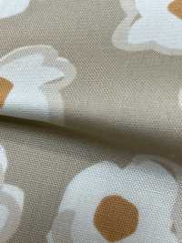 W8082 SEVENBERRY® Oxford Wide Wide Width Dot[Tessile / Tessuto] VANCET Sottofoto