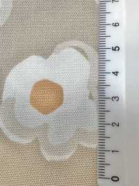 W8082 SEVENBERRY® Oxford Wide Wide Width Dot[Tessile / Tessuto] VANCET Sottofoto