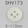 SHV173 Bottone in conchiglia a quattro fori con bordo