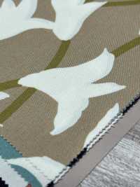W8084 SEVENBERRY® Oxford Wide Width Lily[Tessile / Tessuto] VANCET Sottofoto