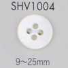 SHV1004 Bottone in conchiglia a 4 fori