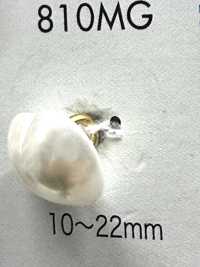810MG Bottone con gambo color oro in resina urea effetto perla[Bottoni] DAIYA BUTTON Immagini aggiuntive
