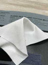 1078421 ALBINI SEA ISLAND COTTON Punto Muschio[Tessile / Tessuto] Takisada Nagoya Sottofoto