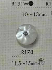 R178 Bottoni In Resina Poliestere[Pulsante] DAIYA BUTTON Sottofoto