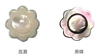 608 Bottone in conchiglia a forma di fiore