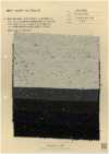 AN-9298 Cotone Lana Colore Nep Kersey