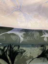 KF4005-DF-3407 Floccatura Sfumata In Organza Cremosa[Tessile / Tessuto] Uni Textile(Komon Studio) Foto secondaria