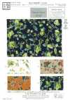 KCP808MW-DK-640 Lawn di cotone 80 stampa Miracle Wave