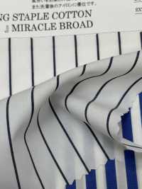 4H4436/3 COTONE EXTRA LONG STAPLE “FOR YOU” MIRACLE BROAD[Tessile / Tessuto] Fibra Di Kuwamura Sottofoto