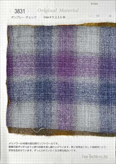 3831 Quadri ombré