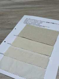 HK2150 Cotone Biologico, Lavato, Tela Non Sbiancata[Tessile / Tessuto] KOYAMA Sottofoto