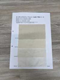 HK2150 Cotone Biologico, Lavato, Tela Non Sbiancata[Tessile / Tessuto] KOYAMA Sottofoto