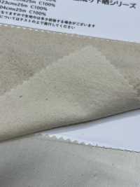 HK2250 Cotone Biologico, Lavato, Non Sbiancato, Loomstate[Tessile / Tessuto] KOYAMA Sottofoto