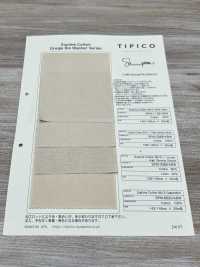 SPM-2066-KBW Supima 80/2// Oxford[Tessile / Tessuto] TIPICO (Kuwamura Textile) Sottofoto