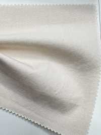 SPM-6020-KBW Supima 80/2// Gabardina[Tessile / Tessuto] TIPICO (Kuwamura Textile) Sottofoto