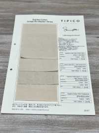 SPM-6020-KBW Supima 80/2// Gabardina[Tessile / Tessuto] TIPICO (Kuwamura Textile) Sottofoto