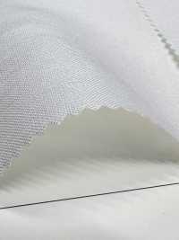 TPT-6057-PS Lino X Tencel Popeline P Sbiancato[Tessile / Tessuto] TIPICO (Kuwamura Textile) Sottofoto