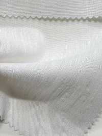 TPT-6057-PS Lino X Tencel Popeline P Sbiancato[Tessile / Tessuto] TIPICO (Kuwamura Textile) Sottofoto