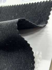 N12800 Velluto Twill Kanpachi[Tessile / Tessuto] Kumoi Beauty Sottofoto