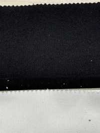 N12800 Velluto Twill Kanpachi[Tessile / Tessuto] Kumoi Beauty Sottofoto
