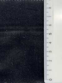 N12800 Velluto Twill Kanpachi[Tessile / Tessuto] Kumoi Beauty Sottofoto