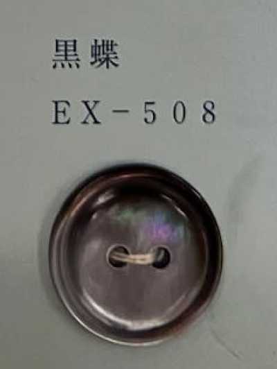 EX508 Bottone in conchiglia nera a farfalla con bordo, 2 fori
