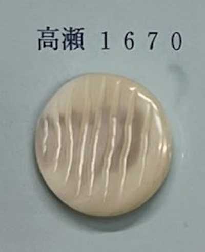 1670 Bottone in conchiglia Takase senza bordo
