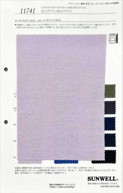 11741 25/1 Rafty MVS costina circolare