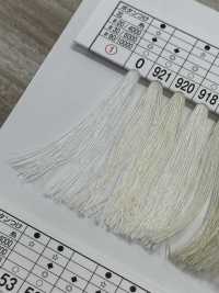 TSP Filo Per Cucire Filato Gunze Gunze Sottofoto