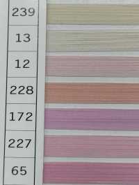 WST Filo Da Cucito Gunze Woolly Nylon Gunze Sottofoto