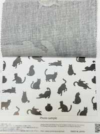 AP52101 Kuroneko Oxford (Rotolo Rotondo)[Tessile / Tessuto] COSMO TEXTILE Sottofoto