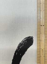 AP52101 Kuroneko Oxford (Rotolo Rotondo)[Tessile / Tessuto] COSMO TEXTILE Sottofoto