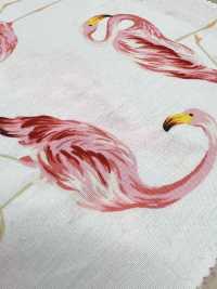 4235 SEVENBERRY® Broadcloth Elegante Relax Flamingo[Tessile / Tessuto] VANCET Sottofoto