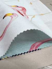 4235 SEVENBERRY® Broadcloth Elegante Relax Flamingo[Tessile / Tessuto] VANCET Sottofoto