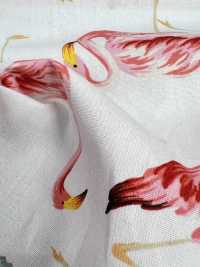 4235 SEVENBERRY® Broadcloth Elegante Relax Flamingo[Tessile / Tessuto] VANCET Sottofoto