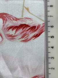 4235 SEVENBERRY® Broadcloth Elegante Relax Flamingo[Tessile / Tessuto] VANCET Sottofoto