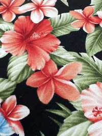 4236 SEVENBERRY® Broadcloth Elegante Relax Hibiscus[Tessile / Tessuto] VANCET Sottofoto