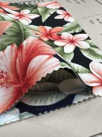 4236 SEVENBERRY® Broadcloth Elegante Relax Hibiscus[Tessile / Tessuto] VANCET Sottofoto