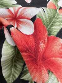 4236 SEVENBERRY® Broadcloth Elegante Relax Hibiscus[Tessile / Tessuto] VANCET Sottofoto