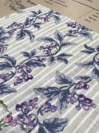 850505 SEVENBERRY® Lawn Soleil Berry Stripe[Tessile / Tessuto] VANCET Sottofoto