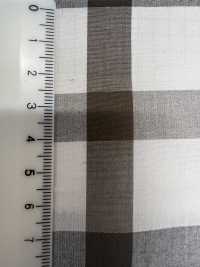 SB57531 60/1 Panno Per Macchina Da Scrivere Mini Check[Tessile / Tessuto] SHIBAYA Sottofoto