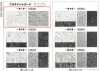 165028 Platinum Jacquard ~Capitolo 1~