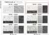 165048 Jacquard Platinum ~Capitolo 5~