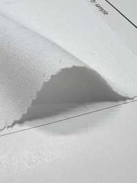 AD45100 T/C Popeline[Tessile / Tessuto] COSMO TEXTILE Sottofoto