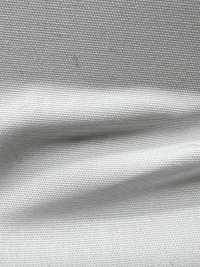 AD45100 T/C Popeline[Tessile / Tessuto] COSMO TEXTILE Sottofoto