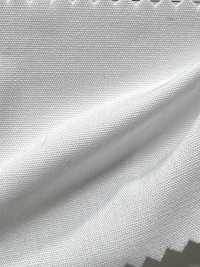 AD40000 T/C 208 Tessuto A Doppia Altezza[Tessile / Tessuto] COSMO TEXTILE Sottofoto