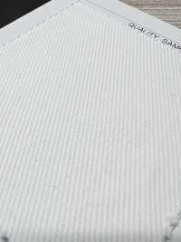 AD29000 Katsuragiten[Tessile / Tessuto] COSMO TEXTILE Sottofoto