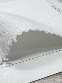 AD29000 Katsuragiten[Tessile / Tessuto] COSMO TEXTILE Sottofoto