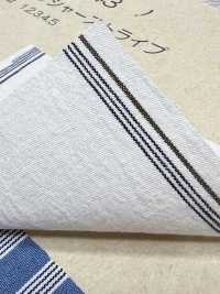 BC3543 Striscia Di Voile[Tessile / Tessuto] COSMO TEXTILE Sottofoto
