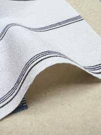 BC3543 Striscia Di Voile[Tessile / Tessuto] COSMO TEXTILE Sottofoto